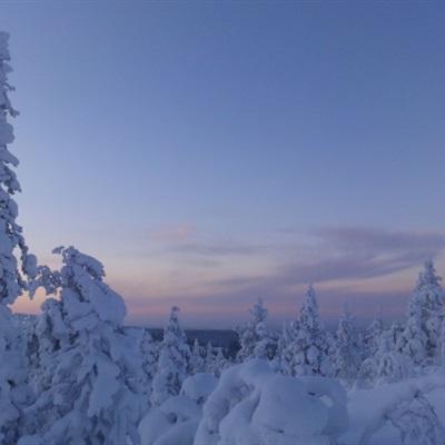 出发去芬兰🇫🇮